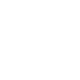 home1-feature-icon